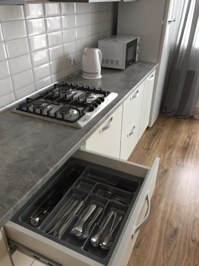 Scandinavian Apartment Lwów Zewnętrze zdjęcie